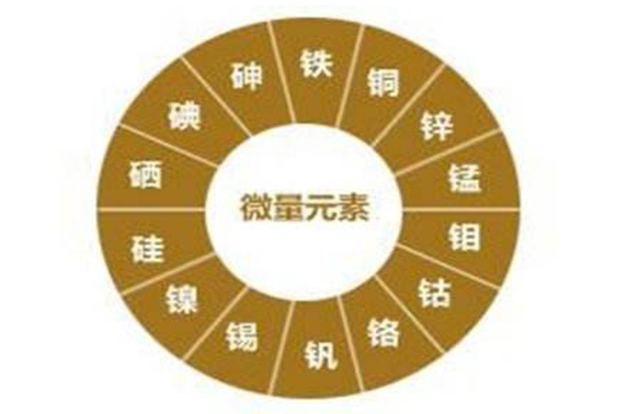 Blog Single