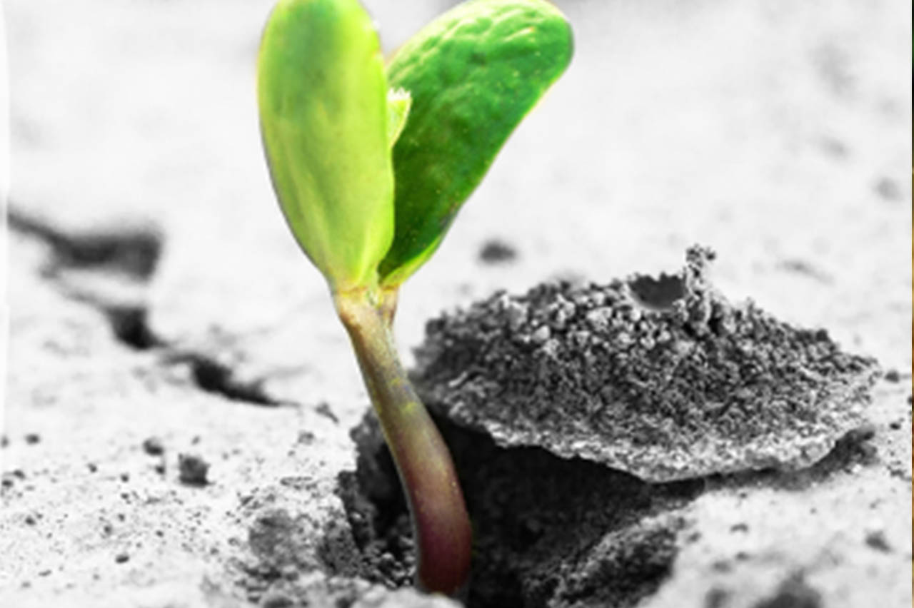 Blog Single